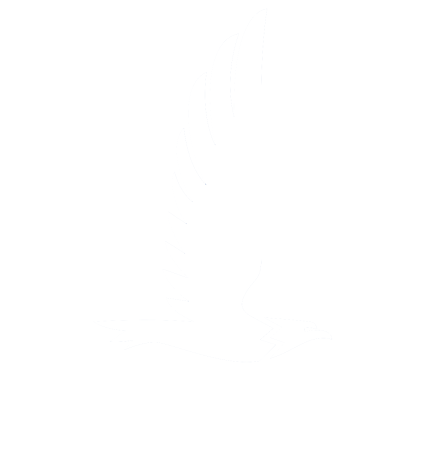 Nationwide_Mutual_Insurance_Company_logo